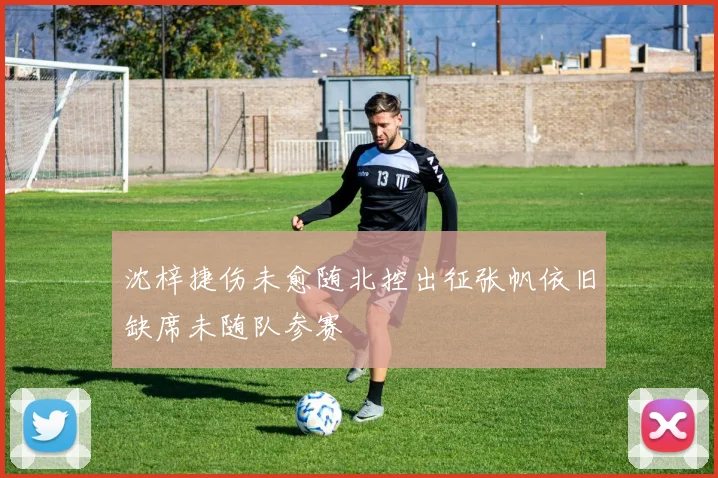 沈梓捷伤未愈随北控出征张帆依旧缺席未随队参赛